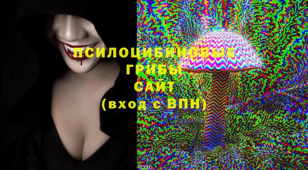 дурь Алексин
