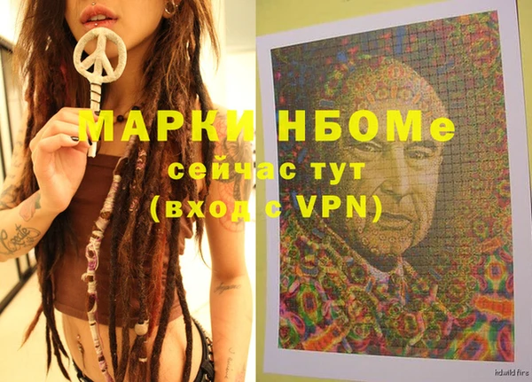 дурь Алексин