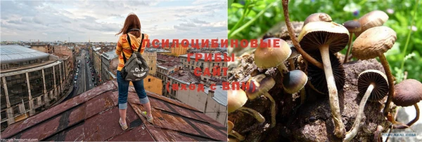 дурь Алексин