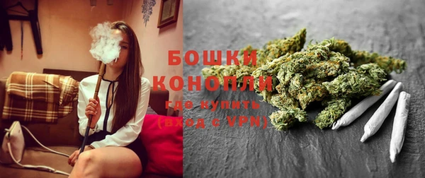 ПСИЛОЦИБИНОВЫЕ ГРИБЫ Алзамай